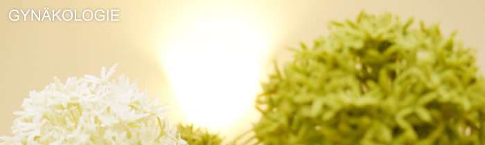 Gynäkologie